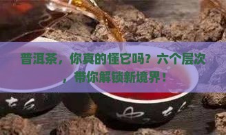 普洱茶的六个层次