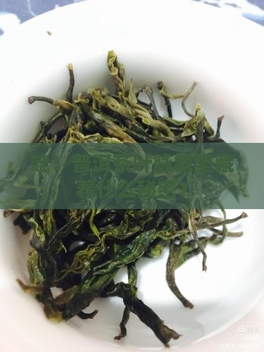 普洱茶的叶脉数