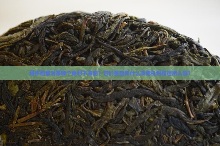 绿茶普洱茶哪个减肥效果好