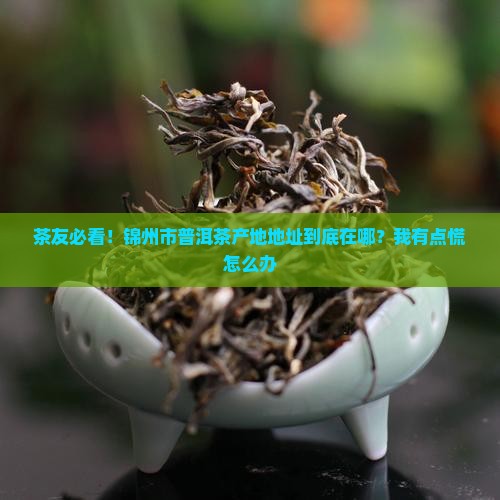 锦州市普洱茶产地地址