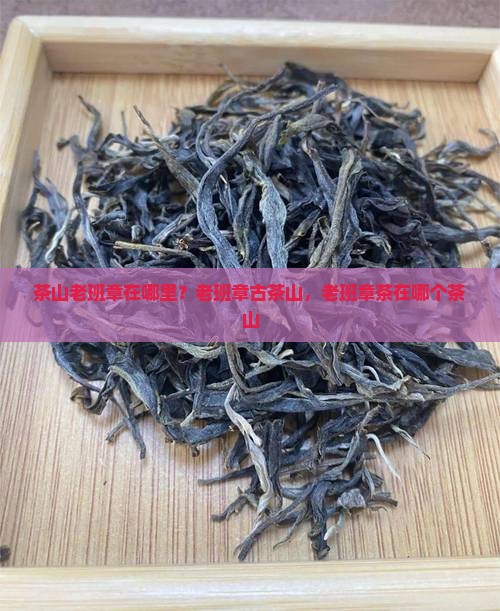茶山老班章在哪里