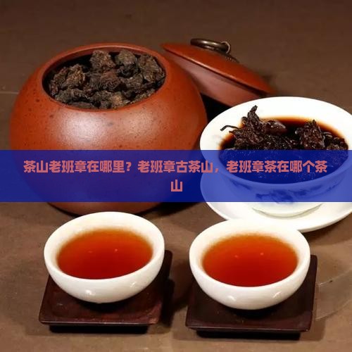 茶山老班章在哪里