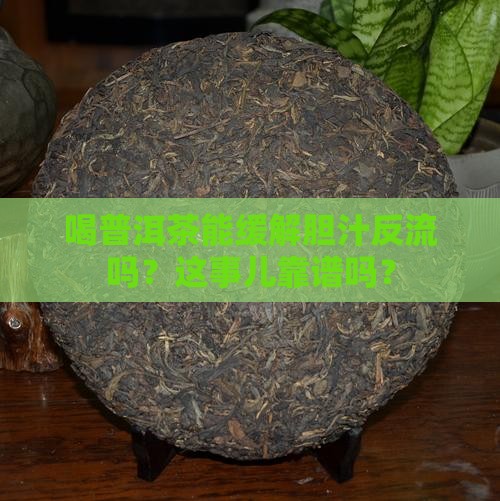 胆汁反流能普洱茶