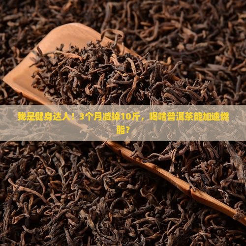 喝啥普洱茶有利于减肥瘦身