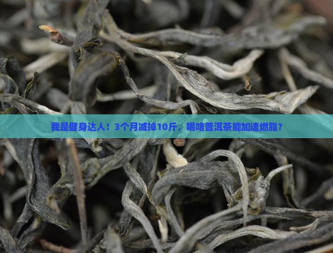喝啥普洱茶有利于减肥瘦身