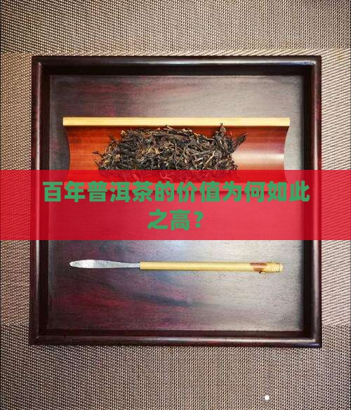 百年普洱茶为什么这么贵