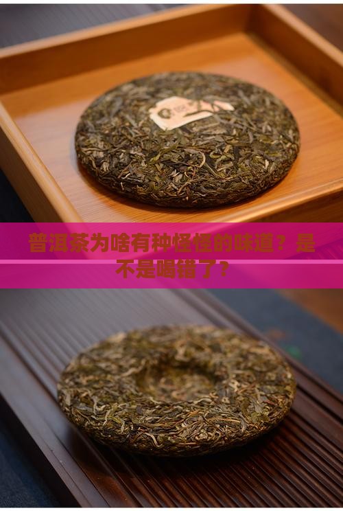 普洱茶喝起来有股怪味怎么回事