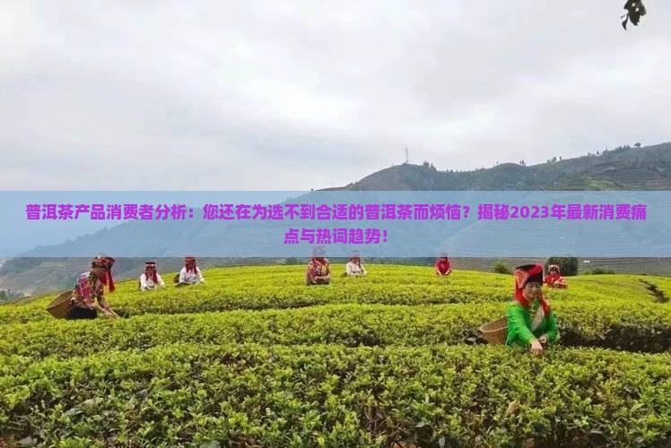 普洱茶产品消费者分析
