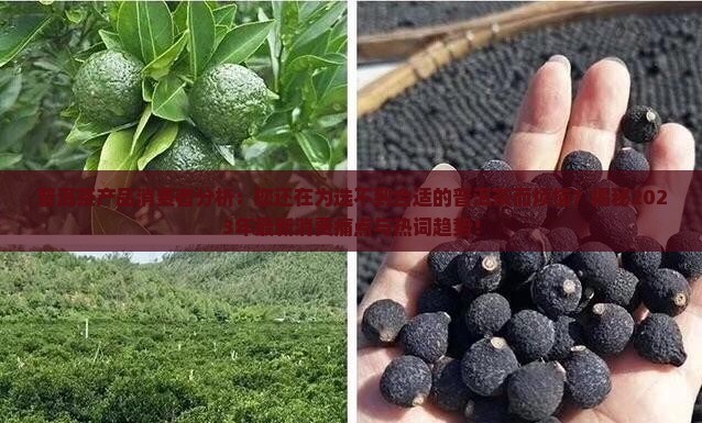 普洱茶产品消费者分析