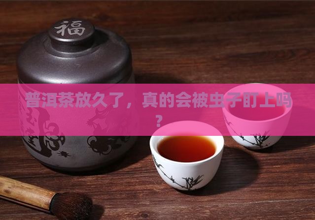 普洱茶要防虫吗