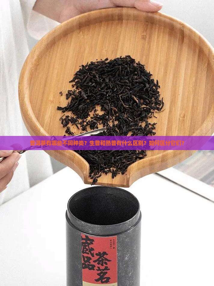 普洱茶的不同种类