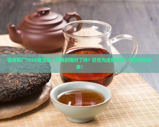 福海茶厂7556普洱茶