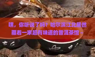 哈尔滨江北普洱茶