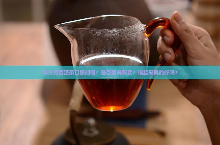 华方苑普洱茶好喝吗
