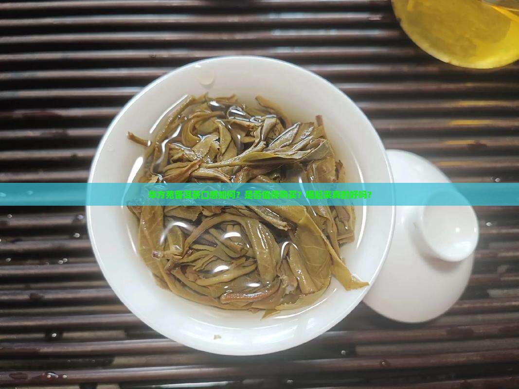 华方苑普洱茶好喝吗