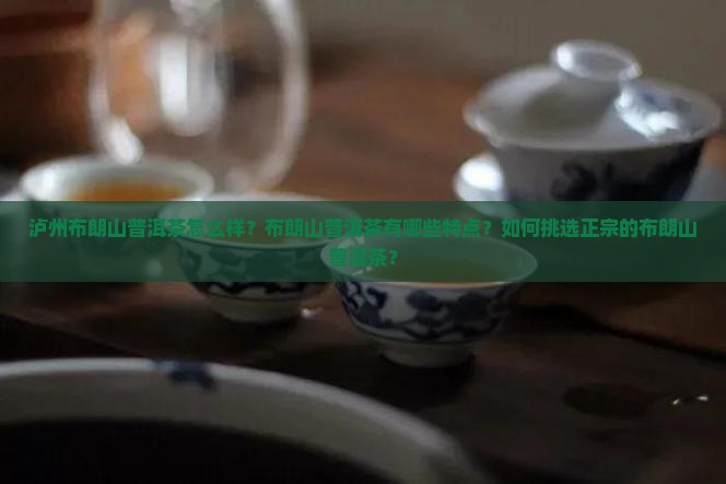 泸州布朗山普洱茶