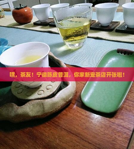 宁德陈皮普洱茶招商网店