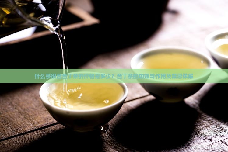什么茶很苦苦丁茶的价格是多少