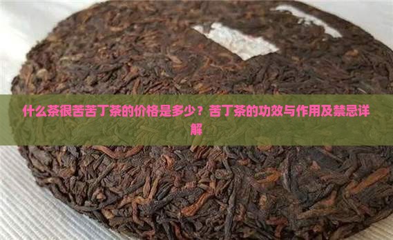 什么茶很苦苦丁茶的价格是多少