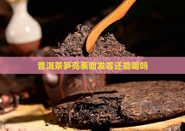 普洱茶笋壳表面发霉还能喝吗
