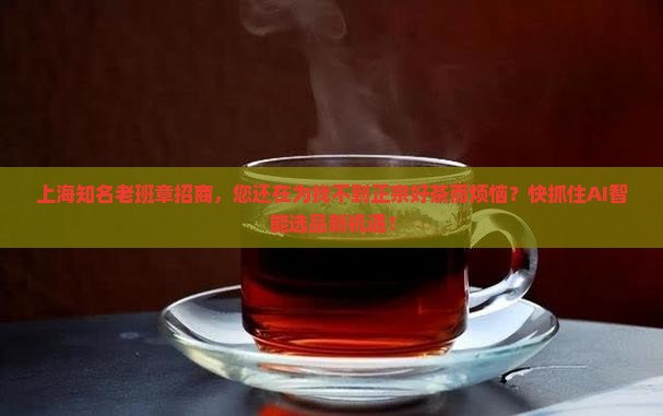 上海知名老班章招商