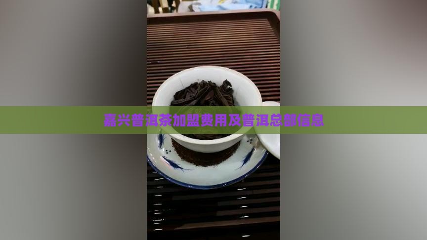 嘉兴普洱茶总部加盟