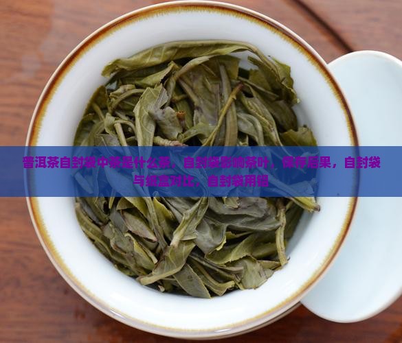 普洱茶自封袋中茶是什么茶