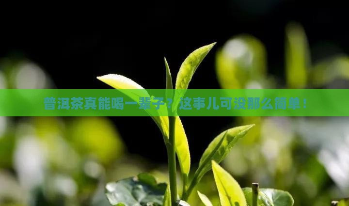 普洱茶能喝一辈子吗