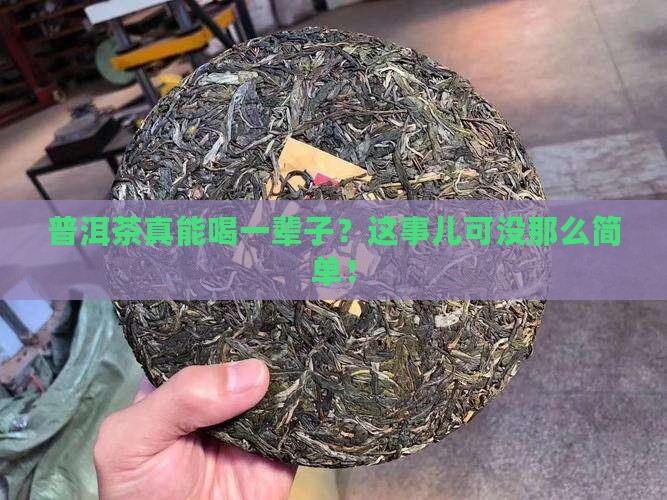 普洱茶能喝一辈子吗
