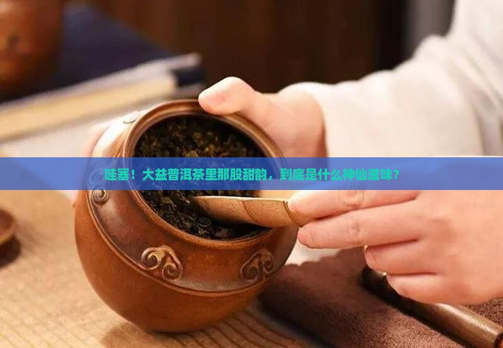 大益普洱茶甜韵