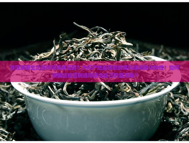 深入了解普洱茶南生北熟的区别