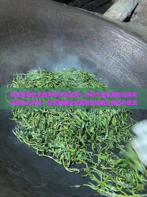 深入了解普洱茶南生北熟的区别