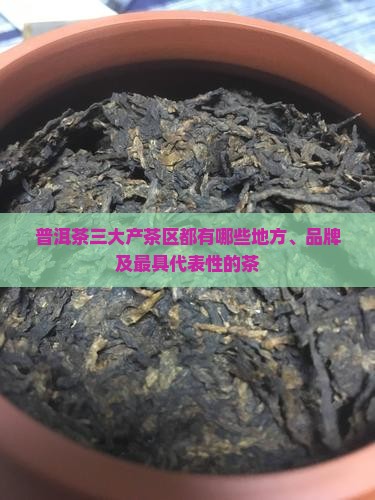 普洱茶三大产茶区都有哪些
