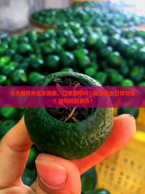 今大福乔木生态熟茶