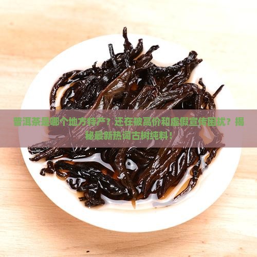 普洱茶是哪个地方特产