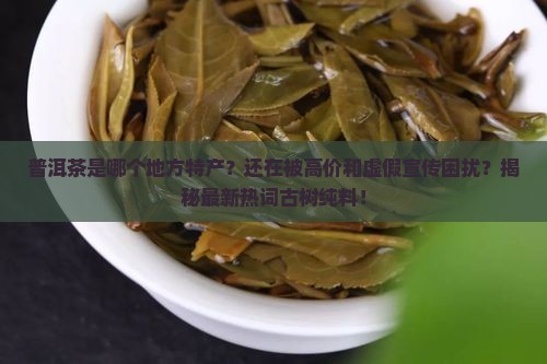 普洱茶是哪个地方特产