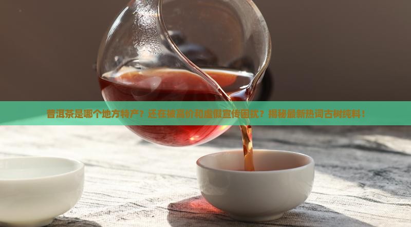 普洱茶是哪个地方特产