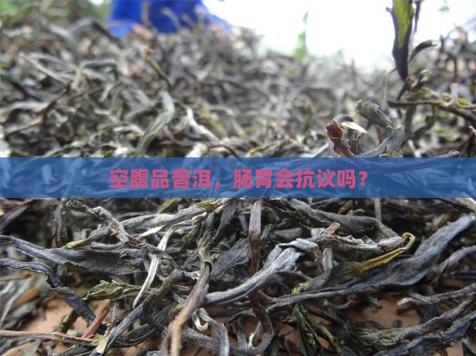 普洱茶空腹喝的好吗