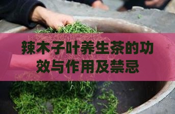 辣木子叶养生茶的功效