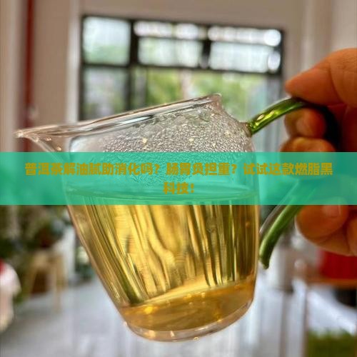普洱茶解油腻助消化吗