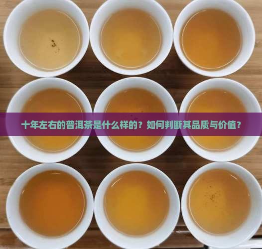 十年左右的普洱茶