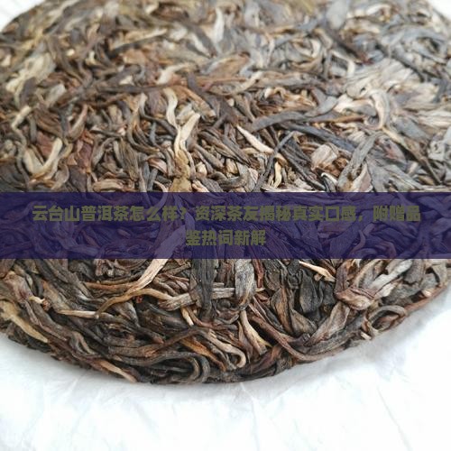 云台山普洱茶怎么样 云台山普洱茶怎么样