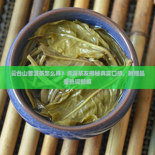 云台山普洱茶怎么样 云台山普洱茶怎么样