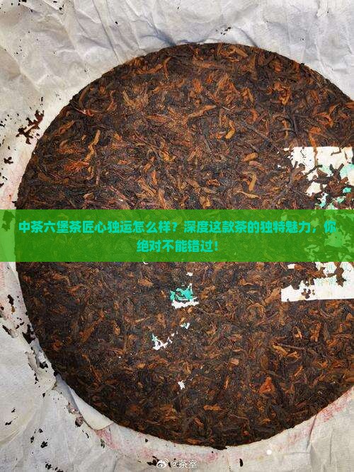 中茶六堡茶匠心独运怎么样