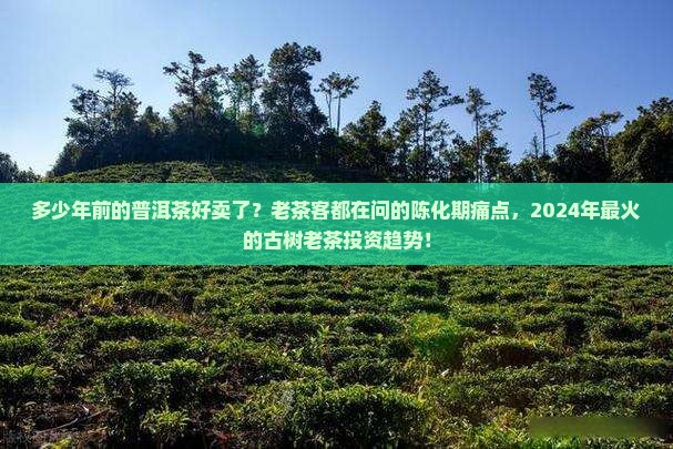 多少年前的普洱茶好卖了