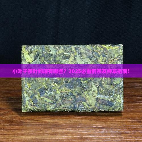 小叶子茶叶有哪些