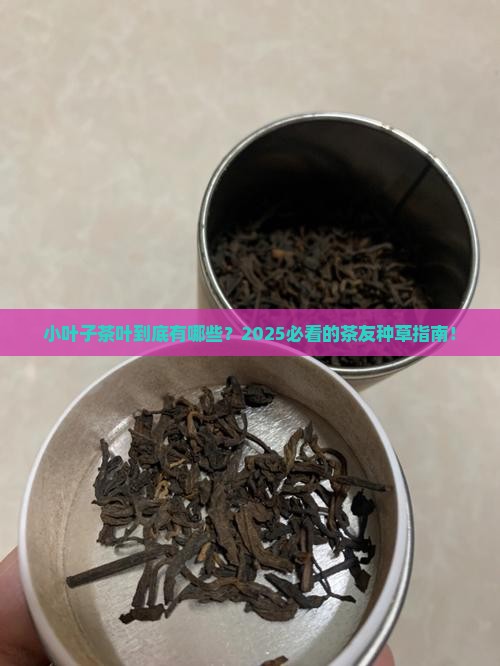 小叶子茶叶有哪些