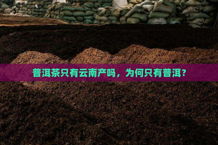普洱茶只能在云南做吗