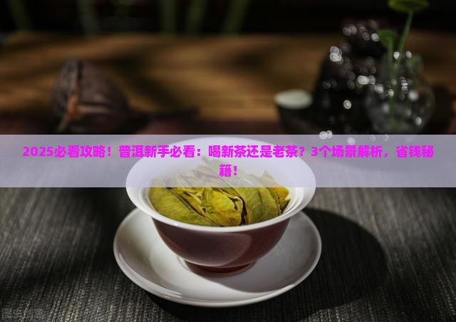 普洱喝新茶还是老茶
