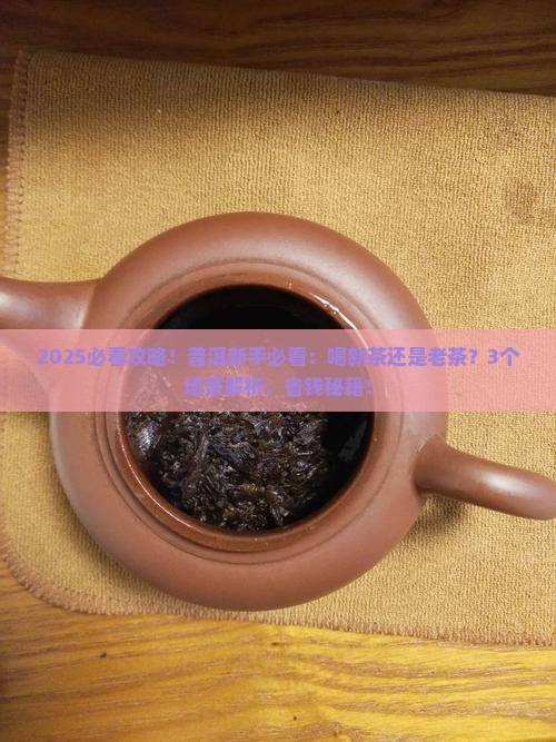 普洱喝新茶还是老茶